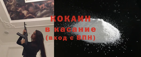 хмурый Арсеньев