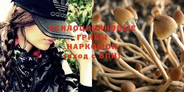 хмурый Арсеньев