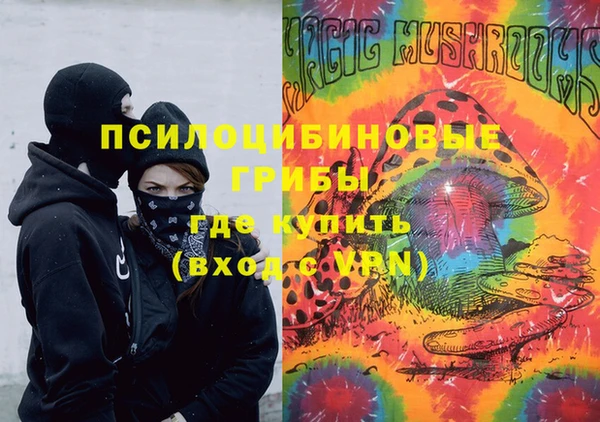 хмурый Арсеньев