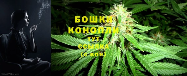 бошки Аркадак
