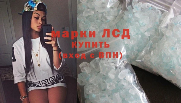 хмурый Арсеньев