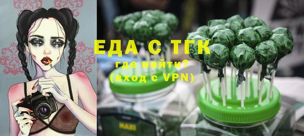 хмурый Арсеньев