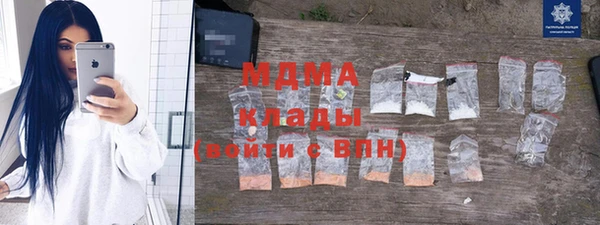 хмурый Арсеньев