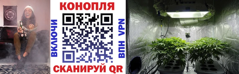 мориарти телеграм  Белорецк  Бошки марихуана планчик 